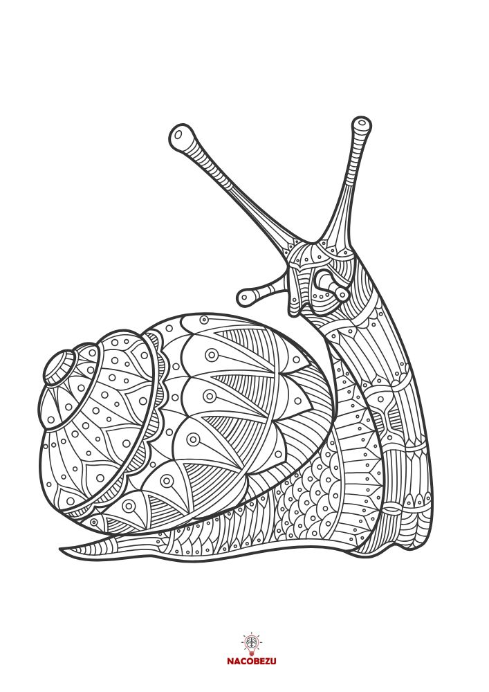 wiosenne mandale