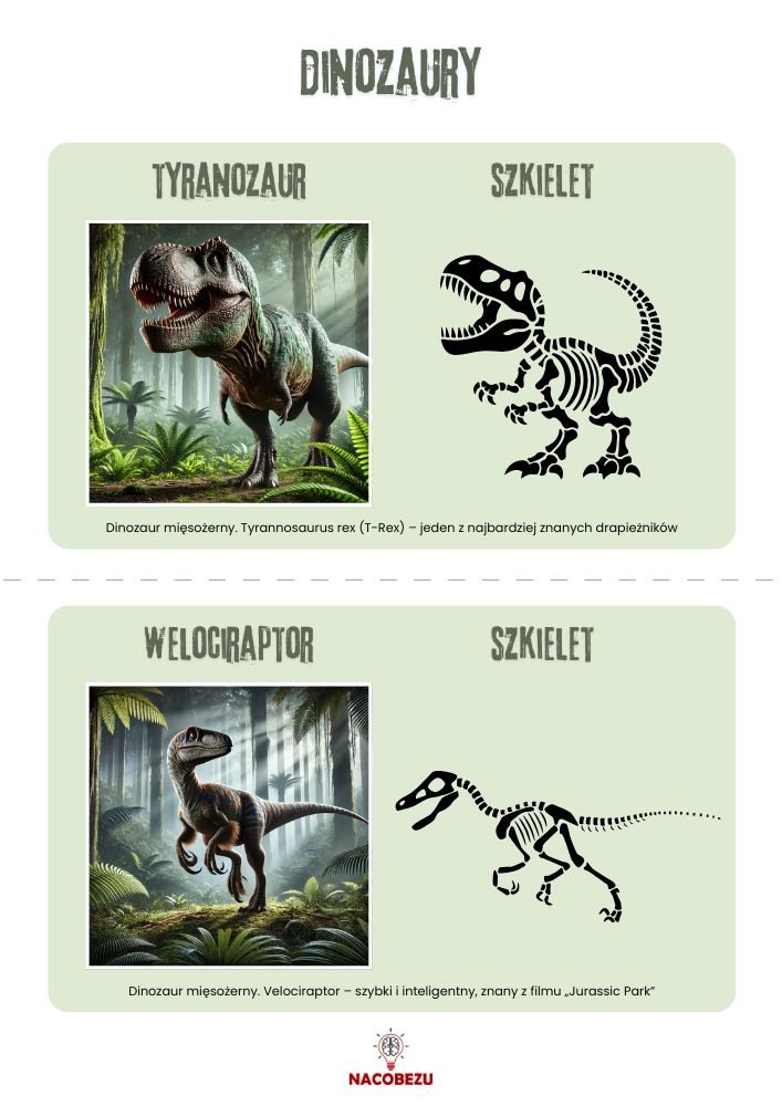 dinozaury karty wiedzy