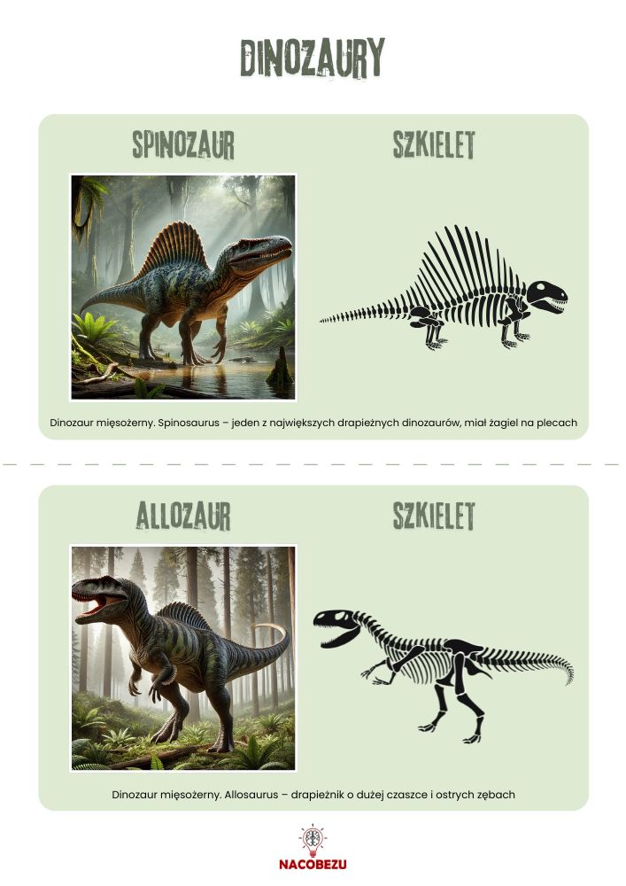 dinozaury karty wiedzy