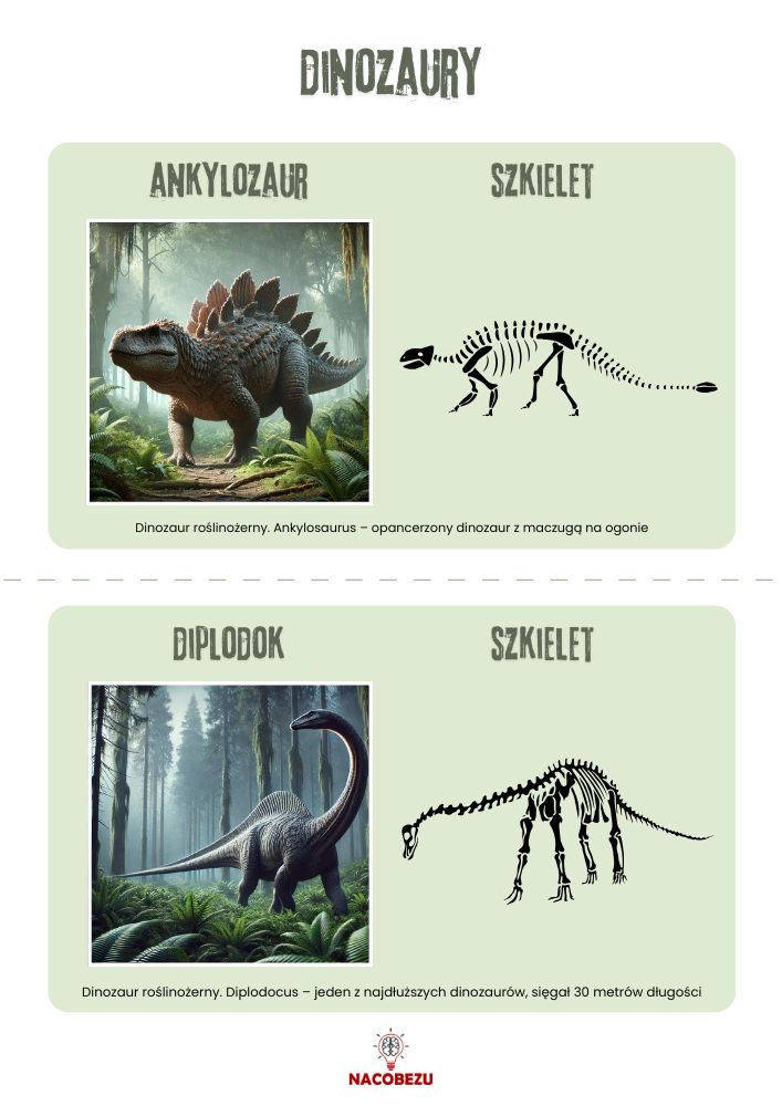 dinozaury karty wiedzy
