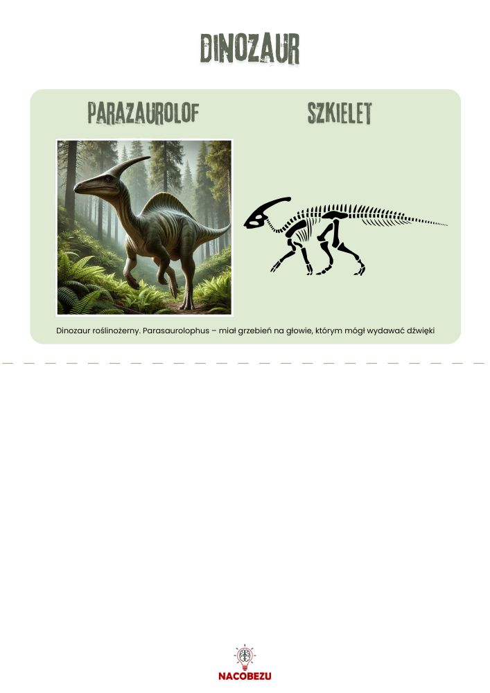 dinozaury karty wiedzy