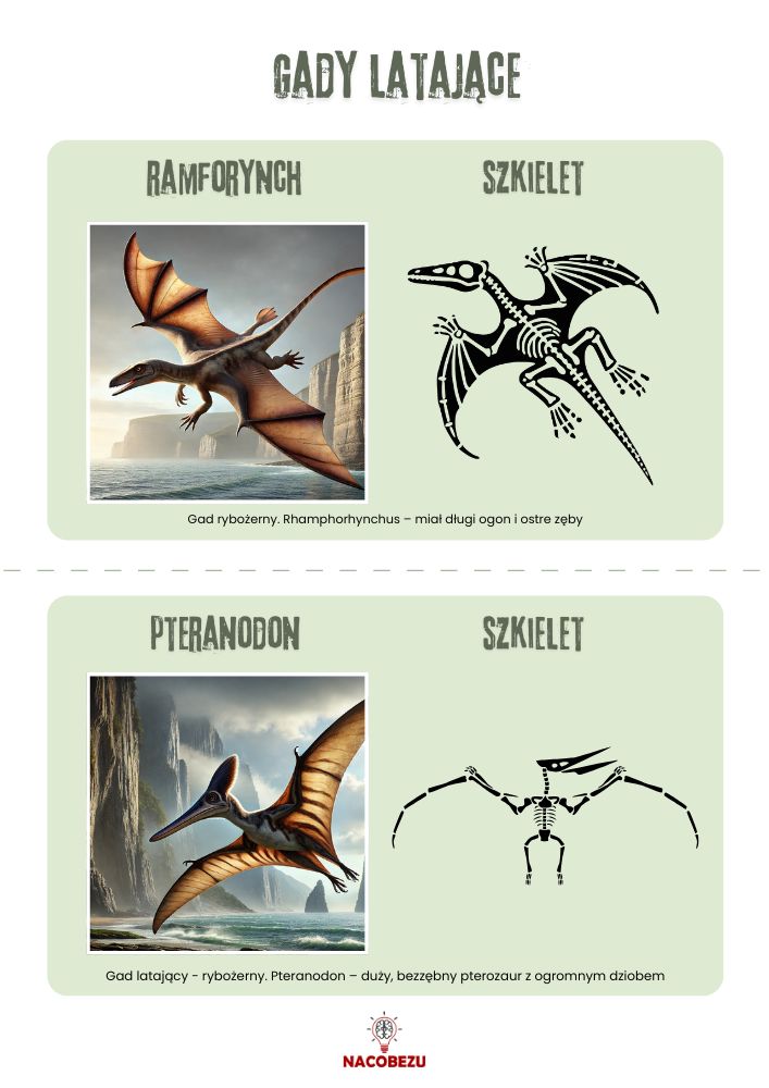 dinozaury karty wiedzy