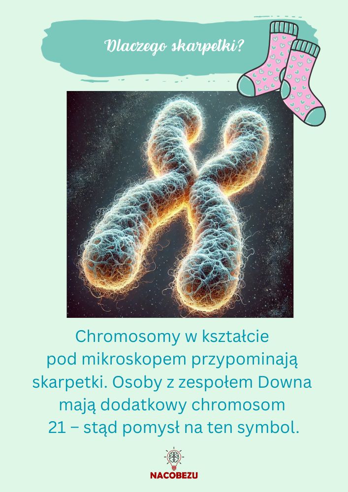 karty edukacyjne Zespół Downa