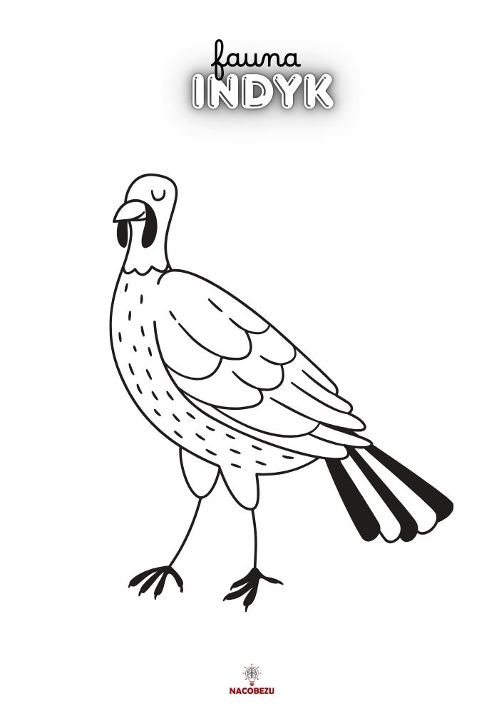 kolorowanki fauna