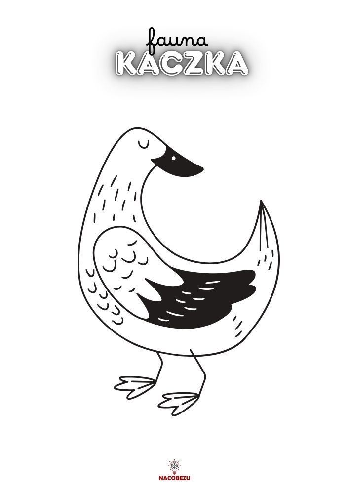 kolorowanki fauna