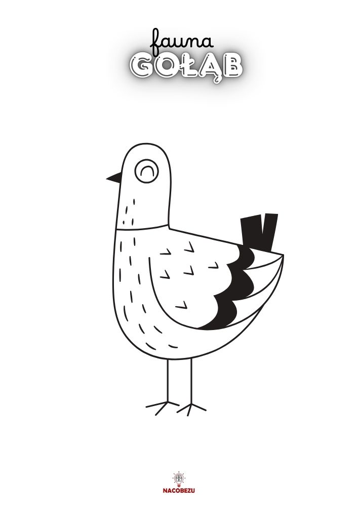 kolorowanki fauna