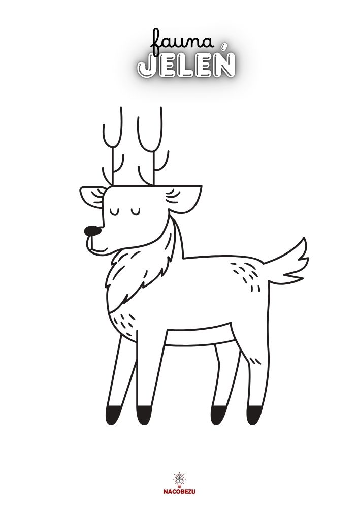 kolorowanki fauna