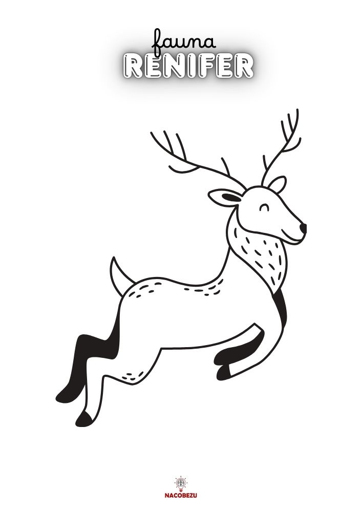 kolorowanki fauna