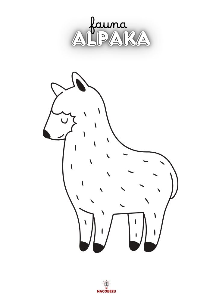 kolorowanki fauna