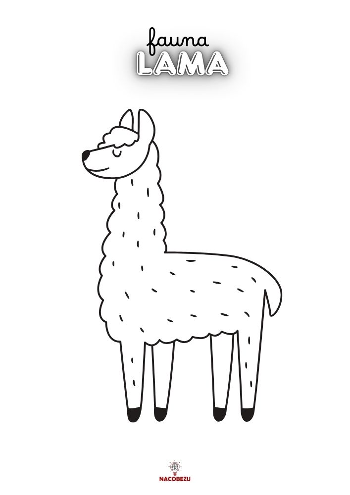 kolorowanka fauna
