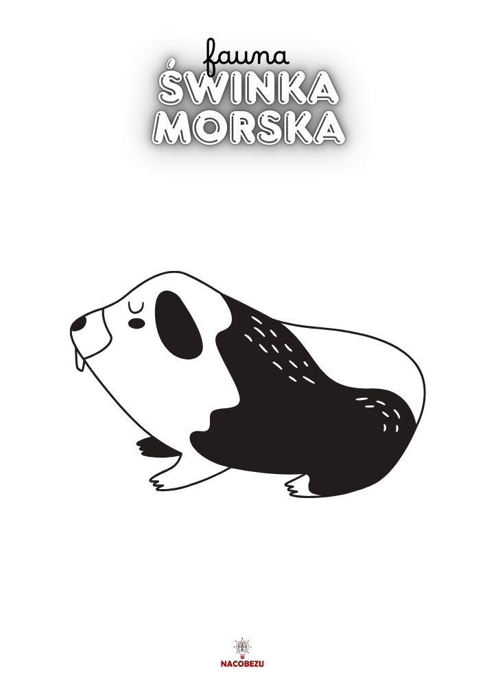 kolorowanka fauna
