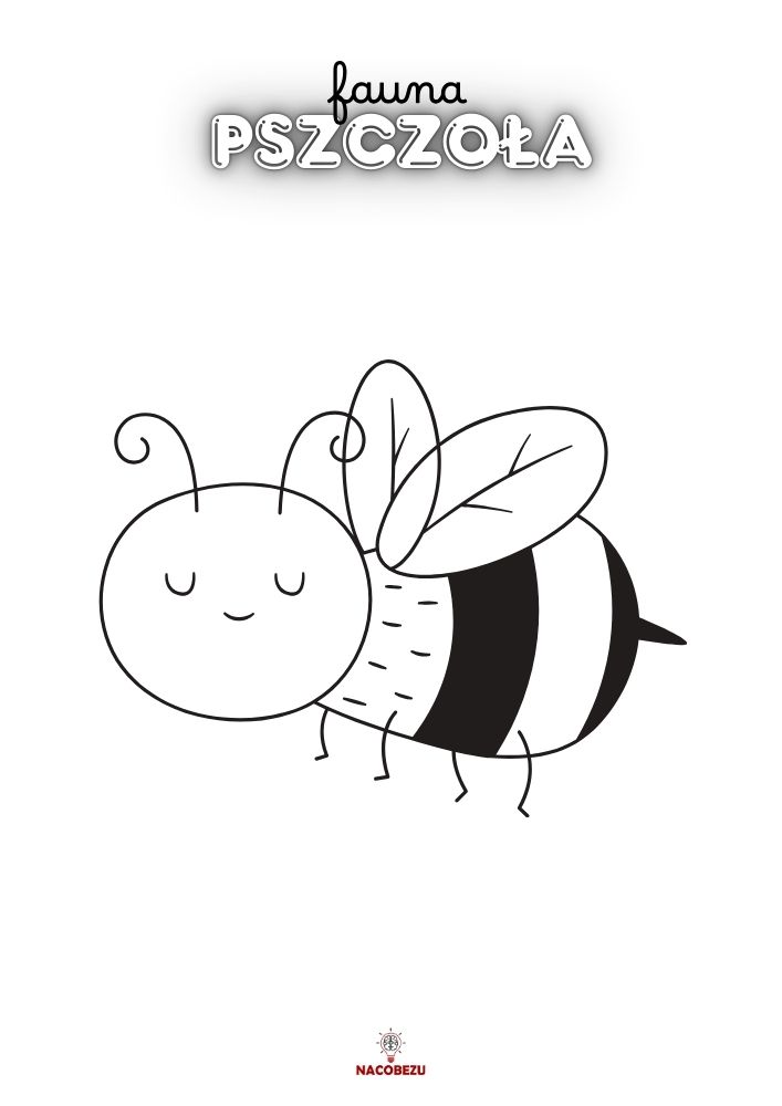 kolorowanka fauna