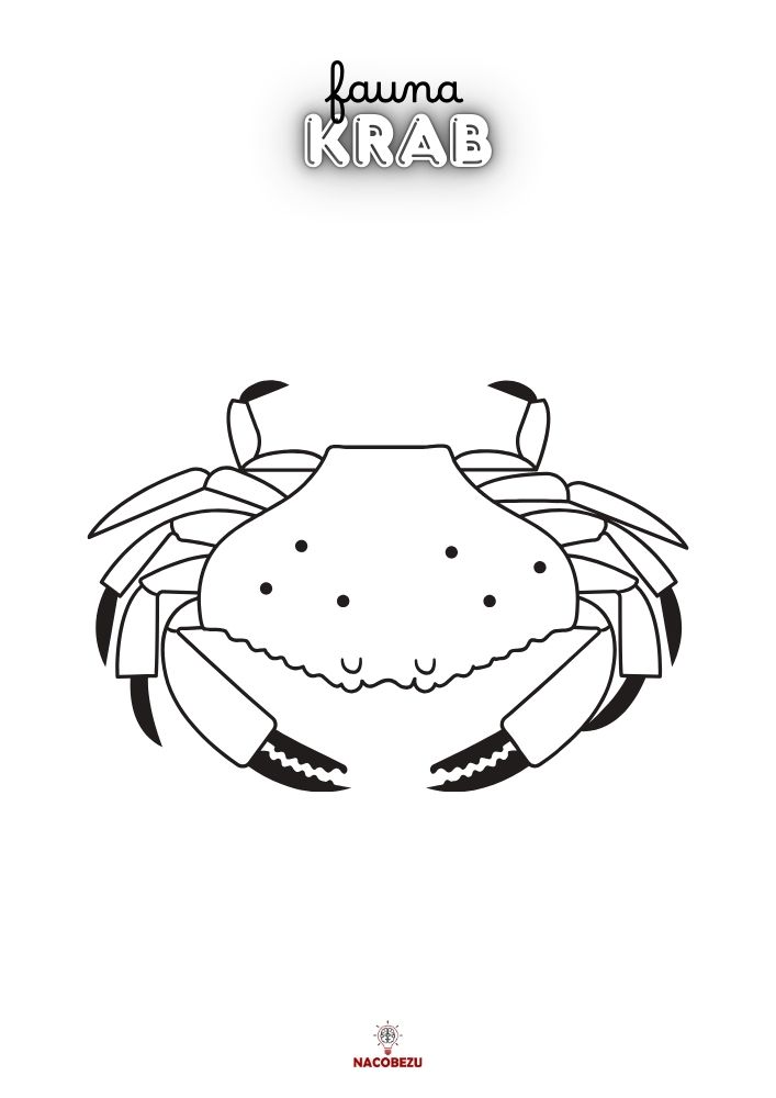 kolorowanki fauna