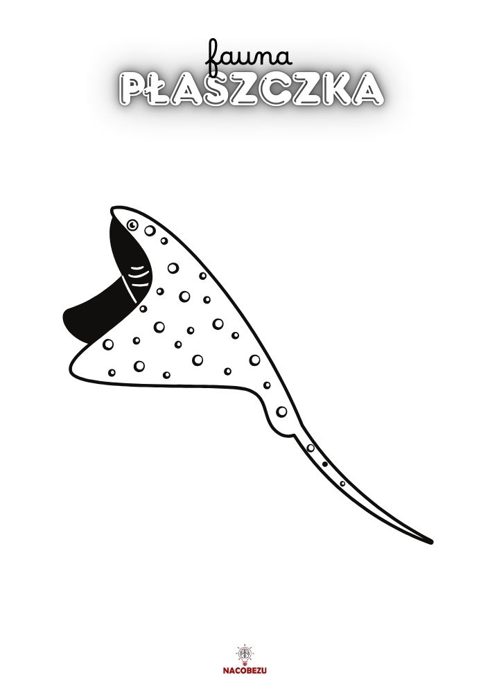 kolorowanki fauna