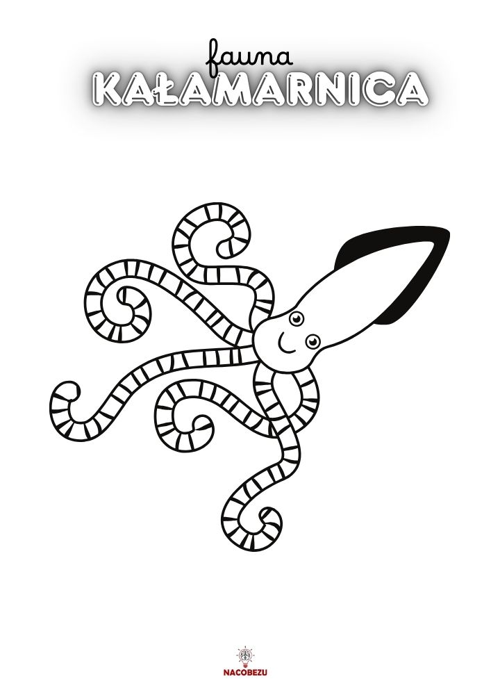 kolorowanki fauna