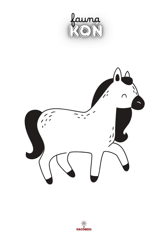 kolorowanki fauna