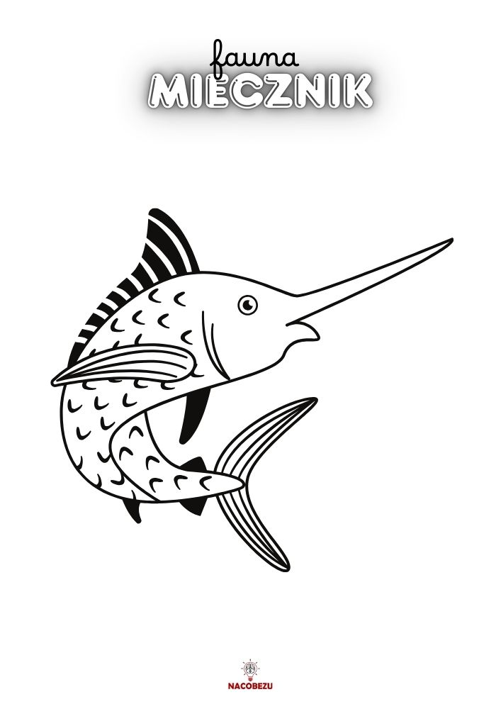kolorowanki fauna