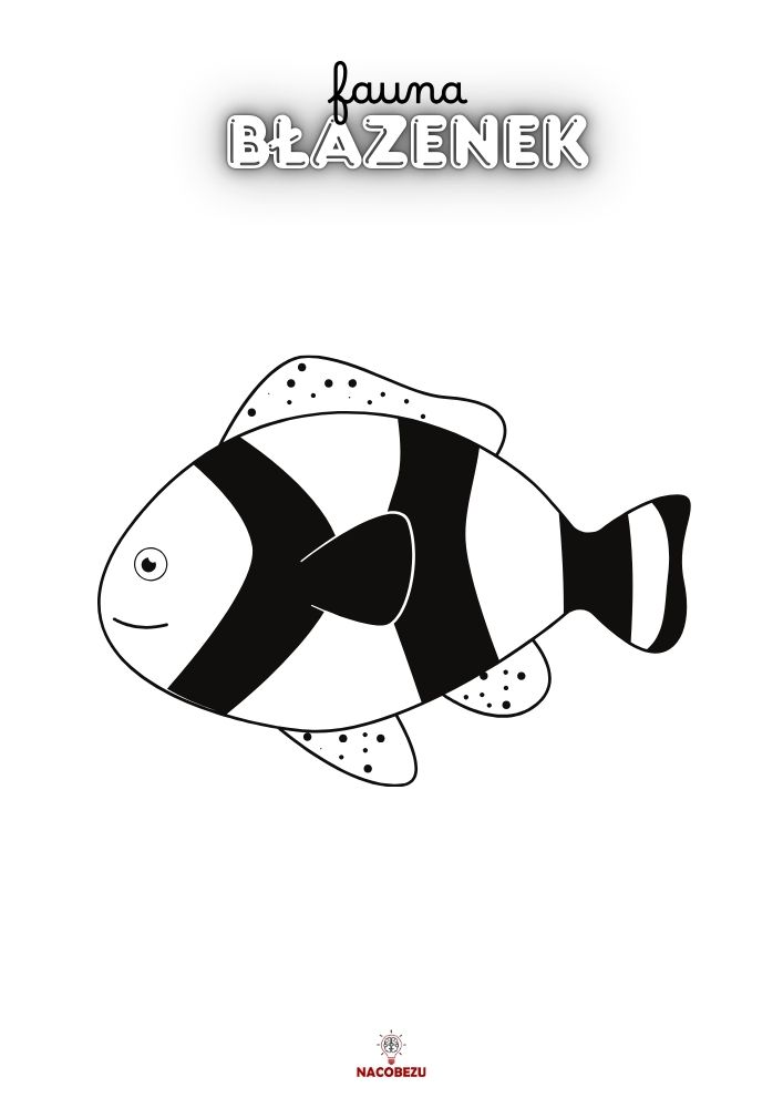 kolorowanki fauna