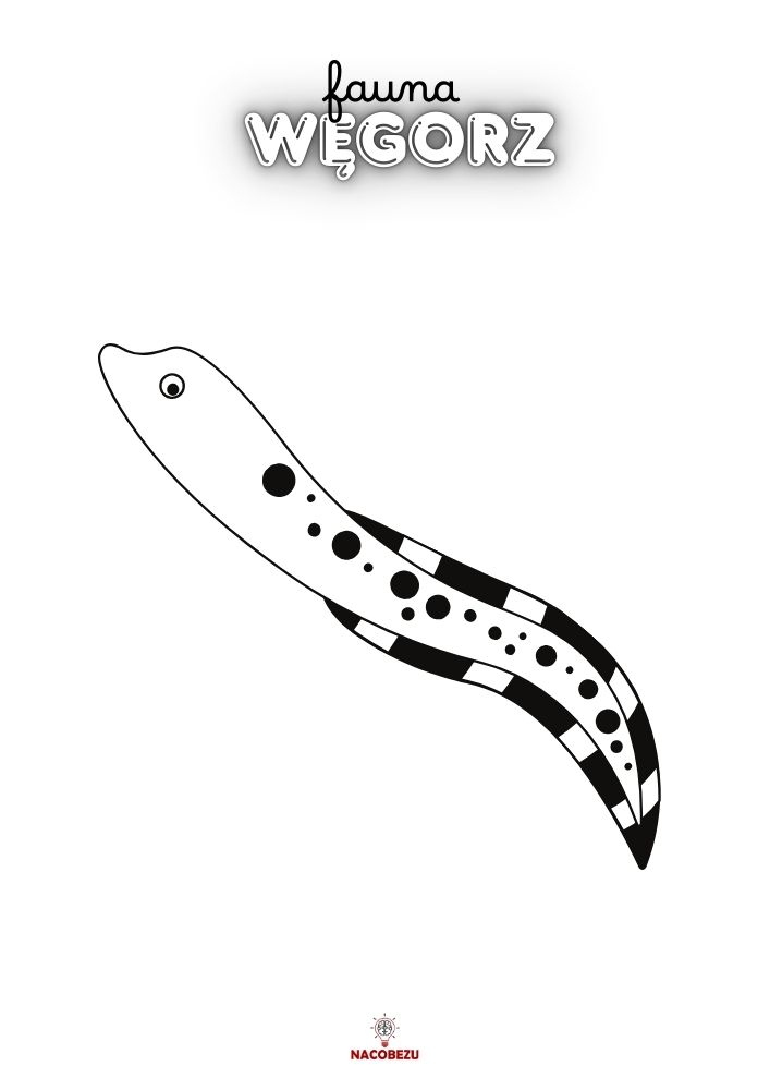 kolorowanki fauna