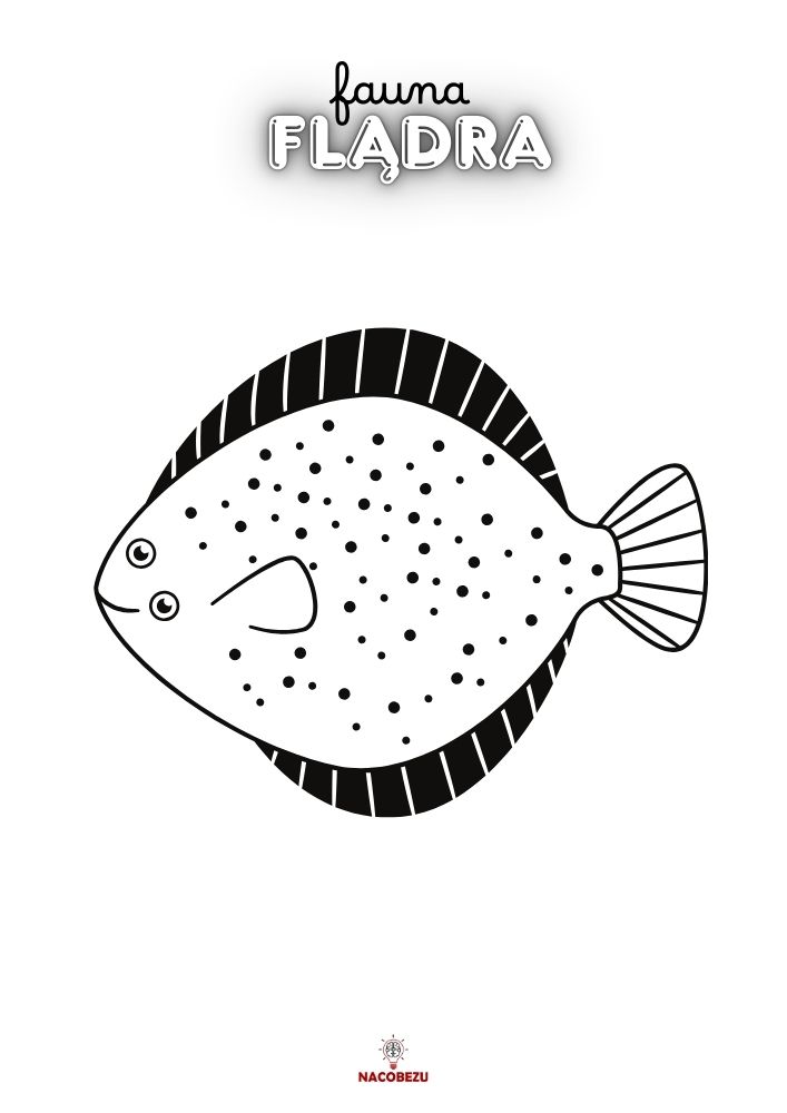 kolorowanki fauna