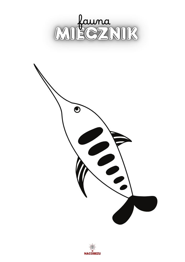 kolorowanki fauna