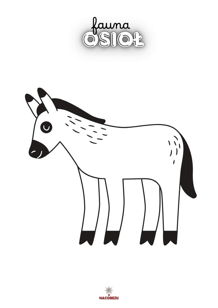 kolorowanka fauna