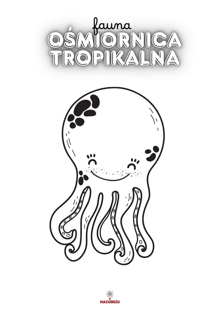 kolorowanka fauna