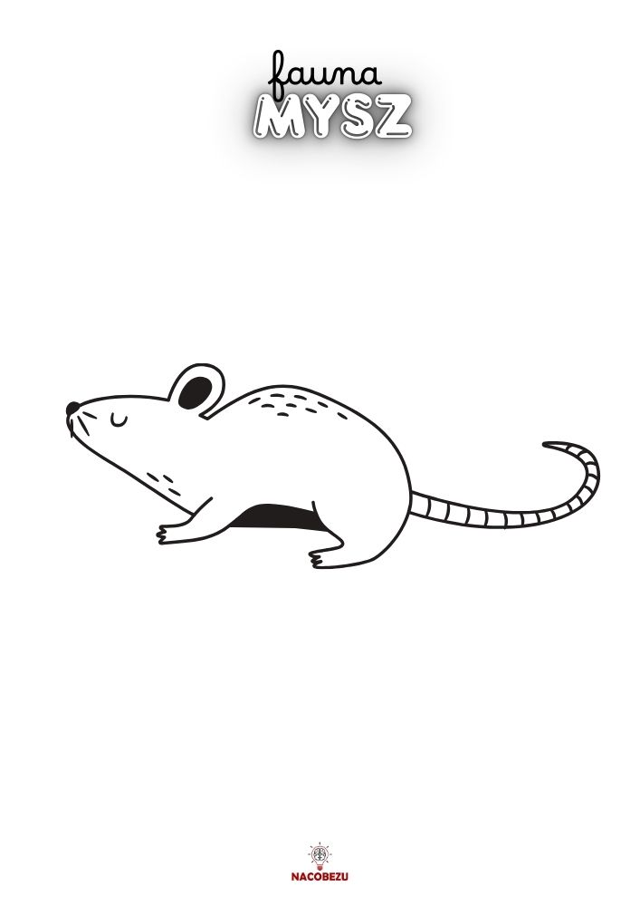 kolorowanka fauna