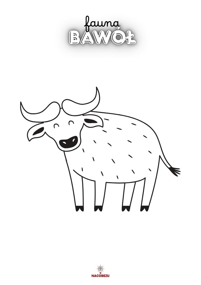 kolorowanki fauna