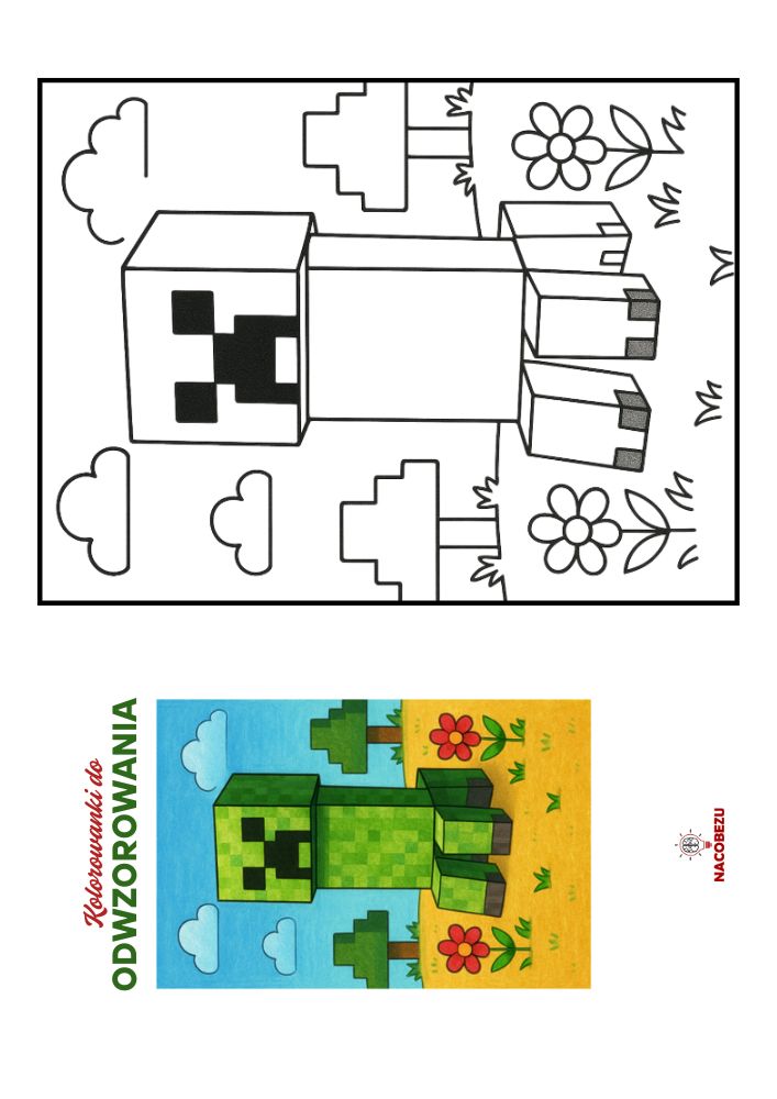 kolorowanki Minecraft do odwzorowania