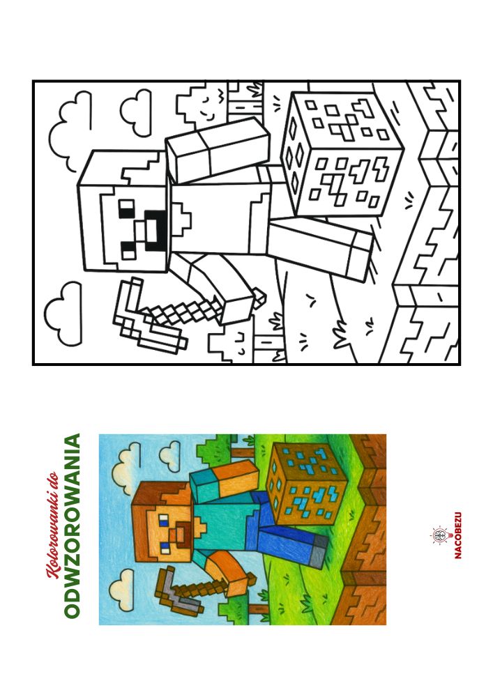 kolorowanki Minecraft do odwzorowania