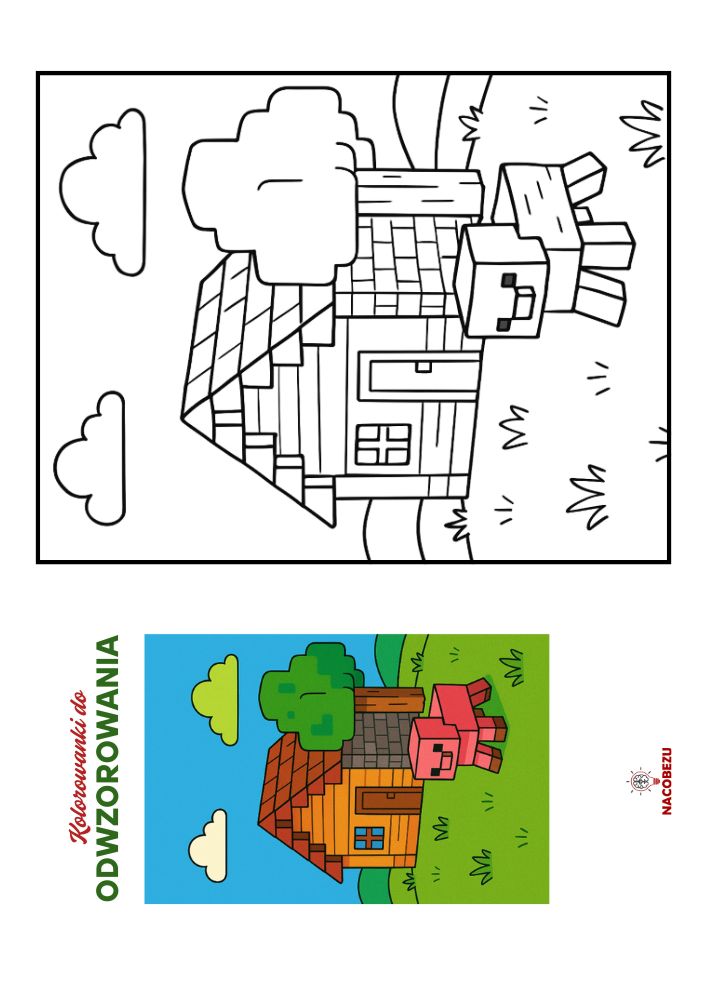 kolorowanki Minecraft do odwzorowania