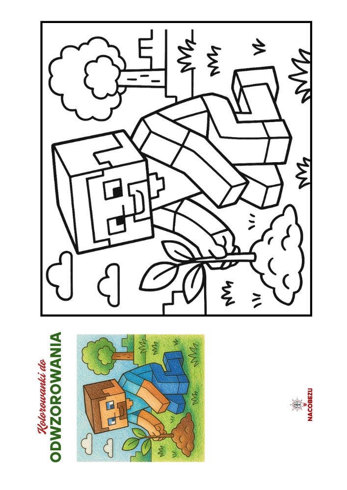 kolorowanki Minecraft do odwzorowania
