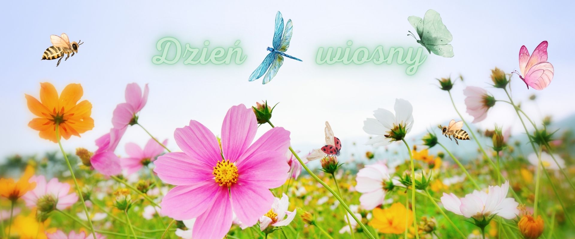 dzień wiosny