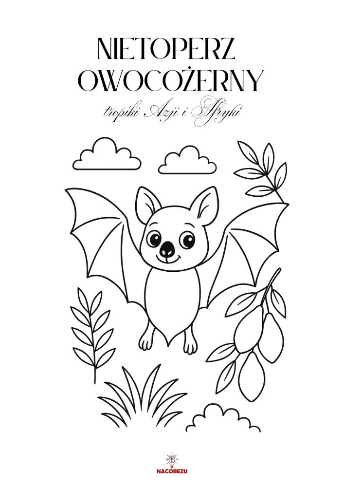 kolorowanki zwierzęta egzotyczne