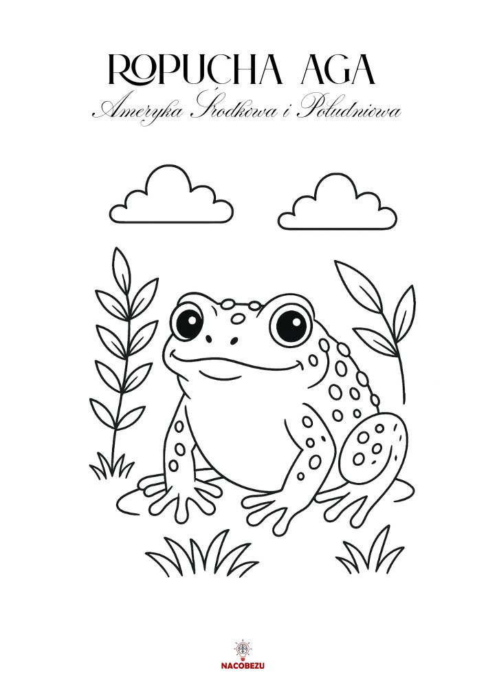 kolorowanki zwierzęta egzotyczne