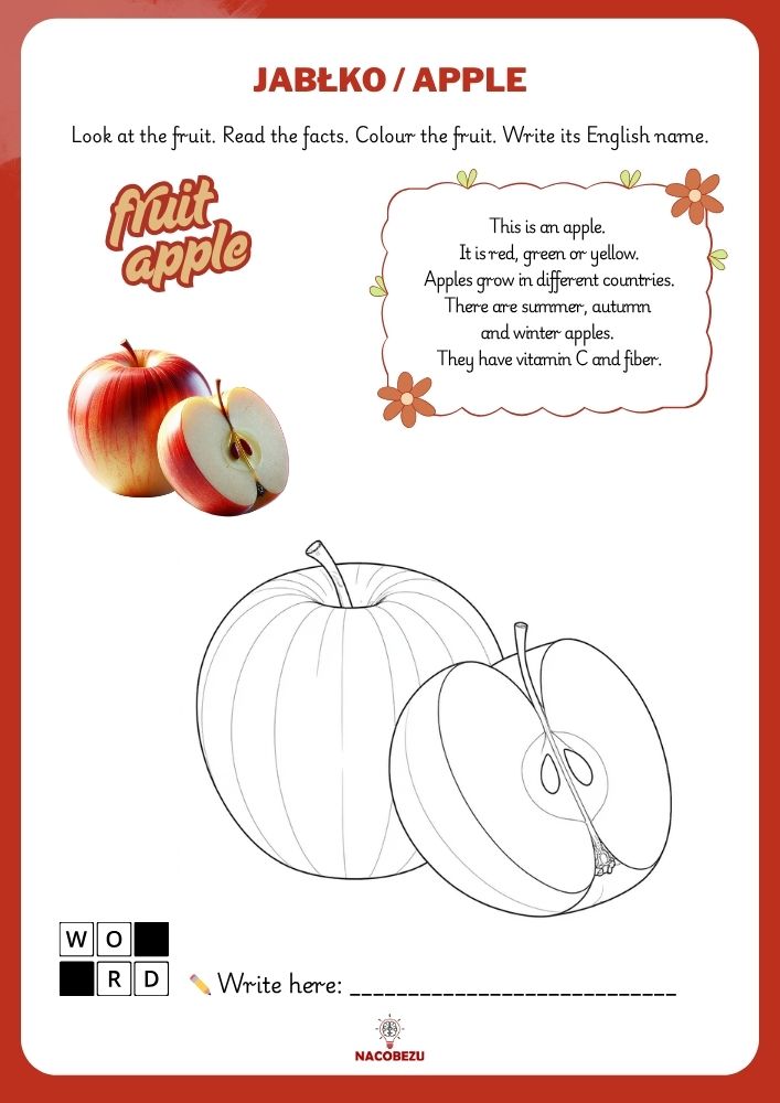 fruit vocabulary worksheets for kids