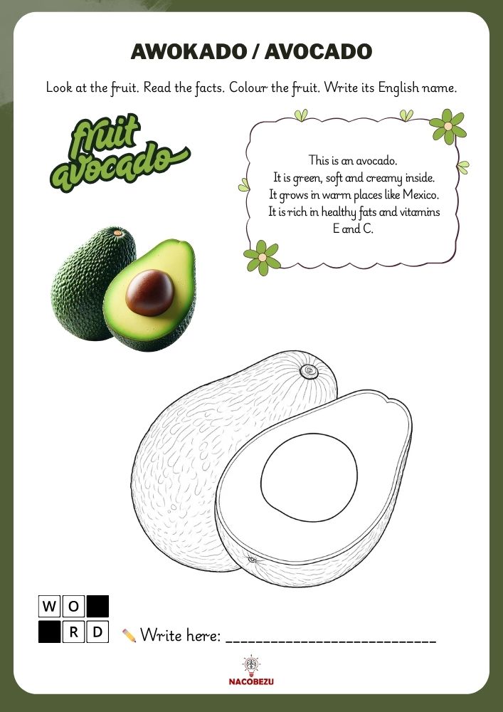 fruit vocabulary worksheets for kids