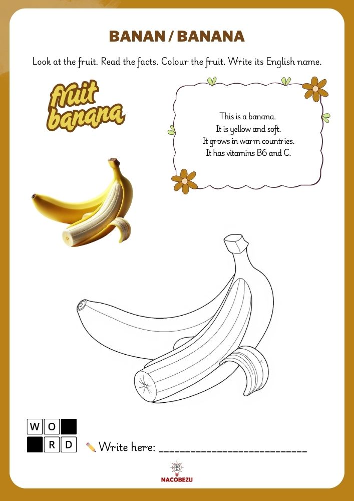 fruit vocabulary worksheets for kids