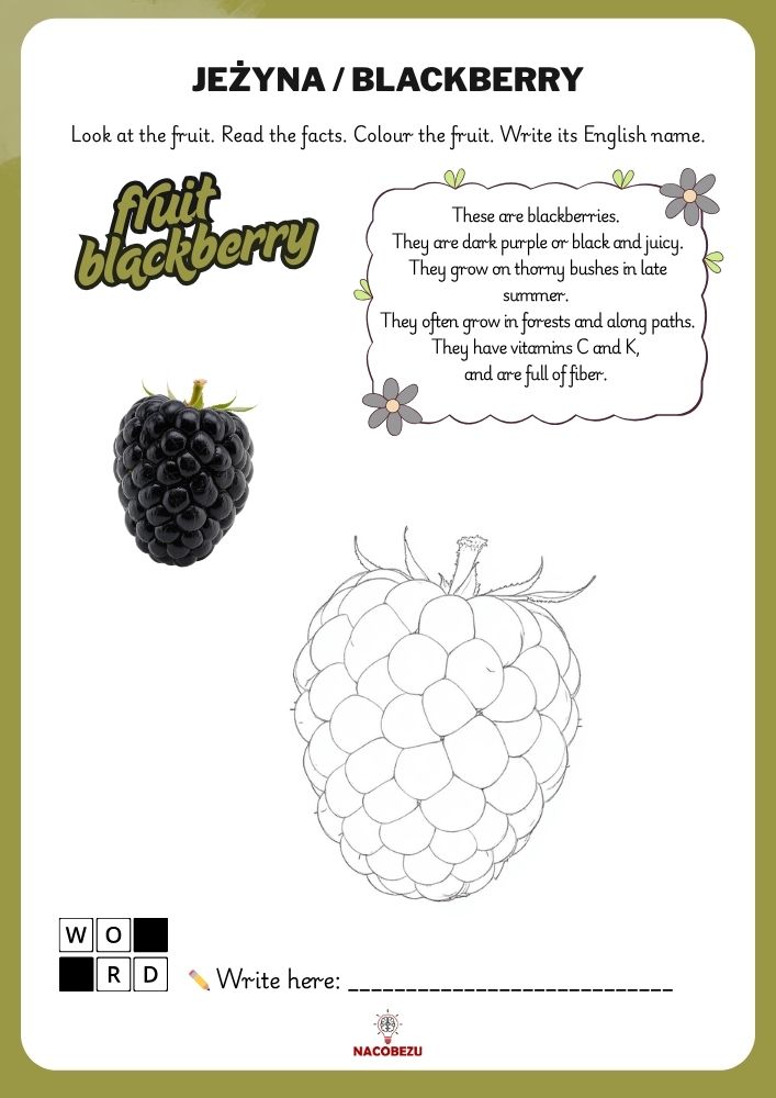 fruit vocabulary worksheets for kids