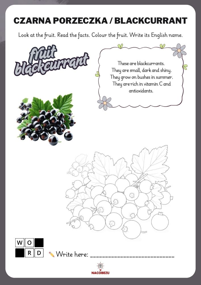 fruit vocabulary worksheets for kids