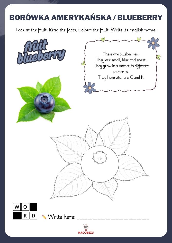 fruit vocabulary worksheets for kids