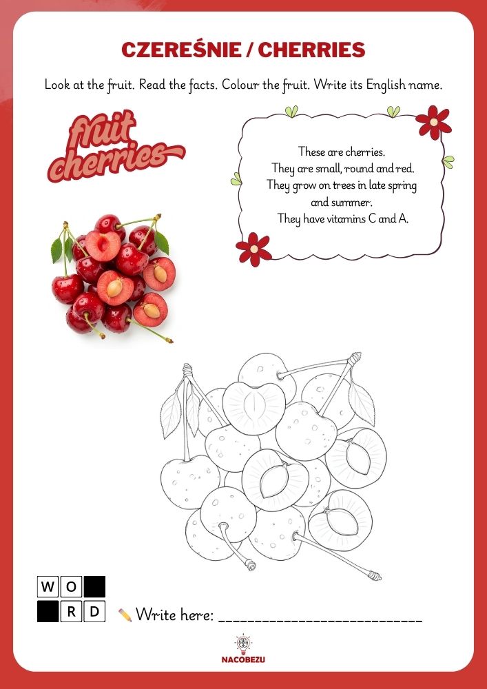 fruit vocabulary worksheets for kids