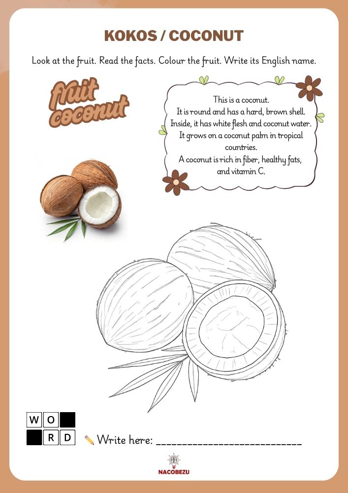 fruit vocabulary worksheets for kids