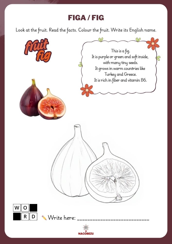 fruit vocabulary worksheets for kids