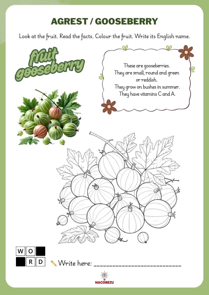 fruit vocabulary worksheets for kids