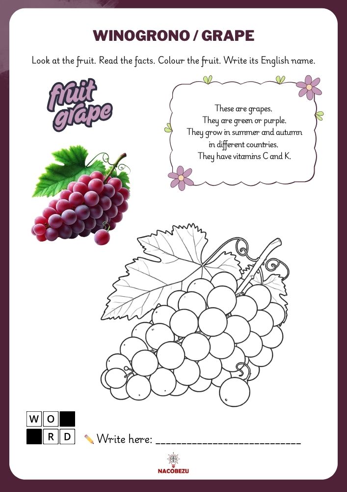 fruit vocabulary worksheets for kids