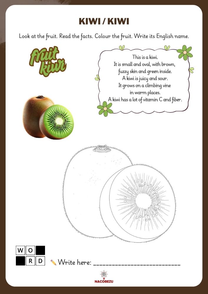 fruit vocabulary worksheets for kids