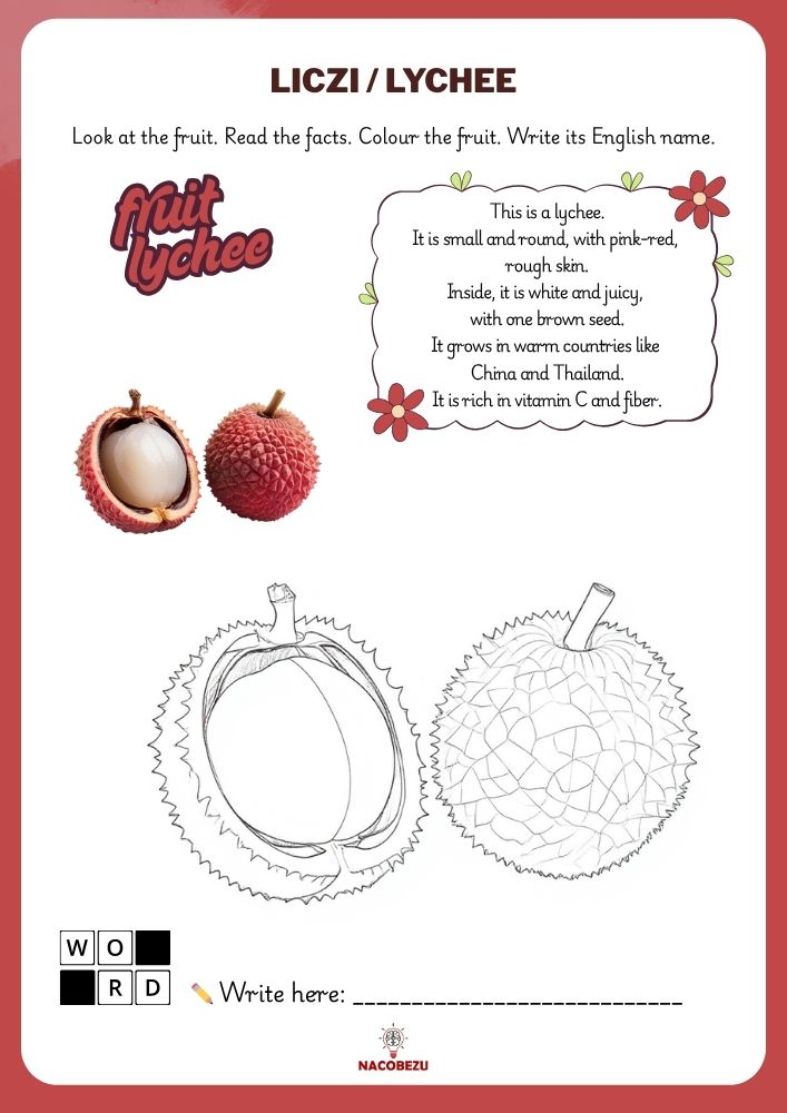 fruit vocabulary worksheets for kids