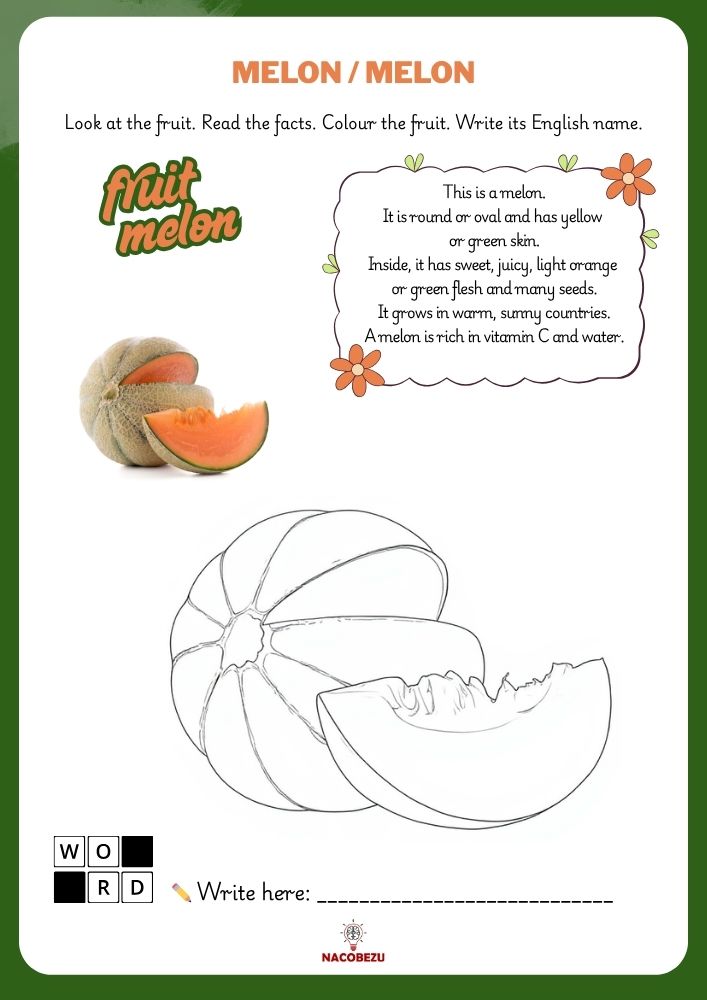 fruit vocabulary worksheets for kids
